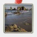 Search for oregon coast christmas tree decorations Northwest