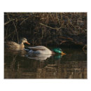 Search for pair photography Drake