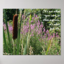 Search for cattails posters Inspirational