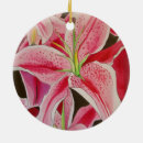 Search for stargazer lily decor Floral