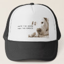 Search for friendly hats Dog