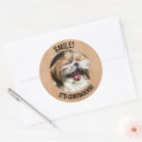 Search for funny smile stickers Dog