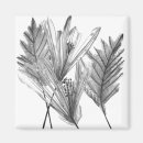 Search for silhouette magnets Botanical