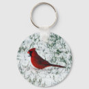 Search for cardinal key rings Snow