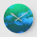 Search for transparent clocks Blue