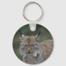 Search for bobcat key rings Big cat