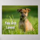 Search for sheepdog art Portrait
