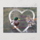 Search for pond life postcards Birds