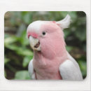 Search for parrot mousepads White