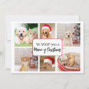Search for woof christmas cards Festive