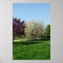 Search for spring time posters Beautiful