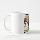 Search for small kitten mugs Cute cats
