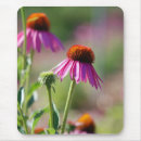 Search for multi region electronics Purple