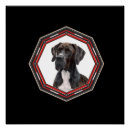 Search for dog breed photography Black and white photography