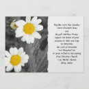 Search for still life photography Flower