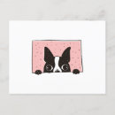 Search for peek postcards Animal