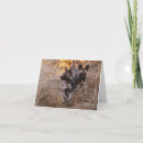 Search for wild dog cards Wildlife