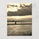 Search for surfing sunset postcards Sea