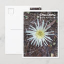 Search for flora plants cards Nature