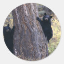 Search for womens outdoor stickers Animal