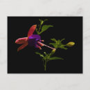 Search for customizables postcards Purple