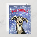 Search for whippet dog postcards Canine