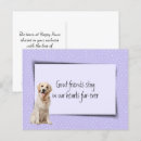 Search for vets pet supplies Veterinarian
