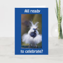 Search for bird watcher birthday cards Co worker