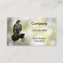 Search for goshawk Falconry