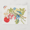 Search for vintage bird illustration postcards Birds