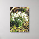 Search for snowdrop art Nature