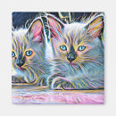 Search for ragdoll magnets Cat lover