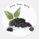Search for blackberries stickers Food