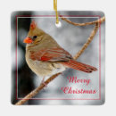 Search for female cardinal christmas tree decorations Nature