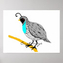 Search for game birds posters Quail