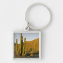 Search for baja key rings Landscape