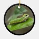 Search for caterpillar christmas tree decorations Larva