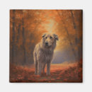 Search for wolfhound magnets Pet