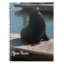 Search for lion notebooks Sea lions