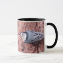 Search for nuthatch mugs White breasted nuthatch