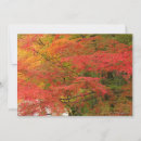 Search for japanese photography Landscape