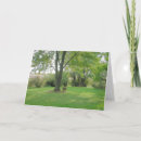 Search for stump cards Landscape