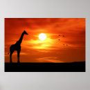 Search for africa silhouette posters Giraffe