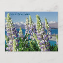 Search for new zealand landscape postcards Nature