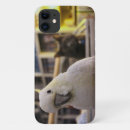 Search for crested iphone cases Parrot