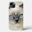 Search for shoulder cases Front view