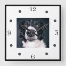 Search for dog clocks Modern