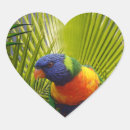 Search for exotic bird stickers Jungle