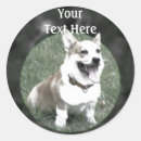 Search for pembroke stickers Animals