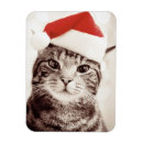 Search for tabby christmas cards Humour